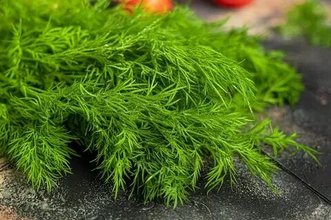 قیمت روزانه سبزی شوید خشک صادراتی + فروش نقدی
